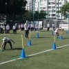dsc02972