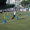 dsc02973